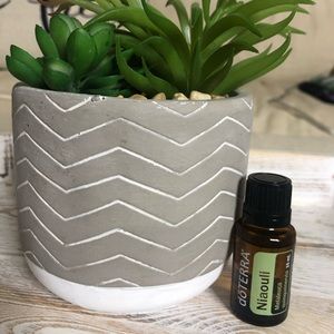 Doterra Niaouli oil - RARE FIND